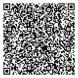 vCard 79538230681