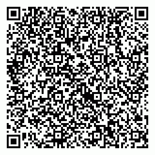 vCard 79538230685