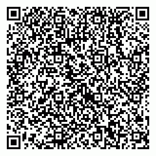 vCard 79538230699