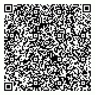 vCard 79538230702
