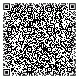vCard 79538230704