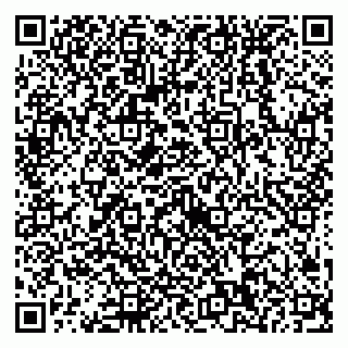 vCard 79538230706