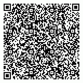 vCard 79538230715