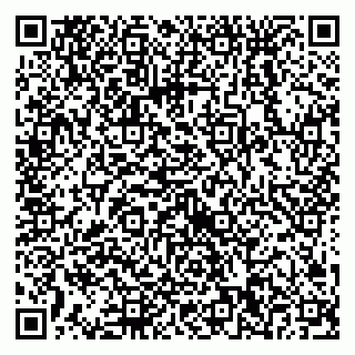 vCard 79538230731