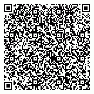vCard 79538230733