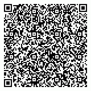 vCard 79538230737