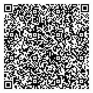 vCard 79538230748