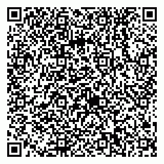 vCard 79538230765