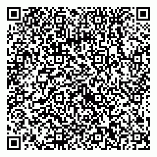 vCard 79538230771