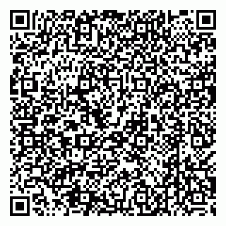 vCard 79538230784