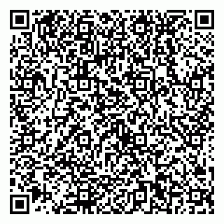 vCard 79538230789