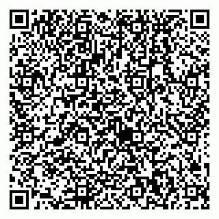 vCard 79538230802