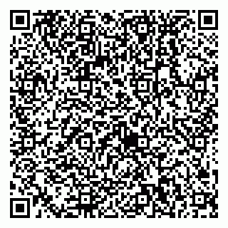 vCard 79538230803