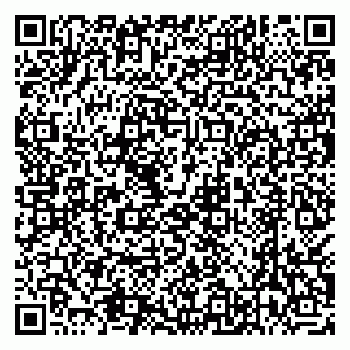 vCard 79538230811