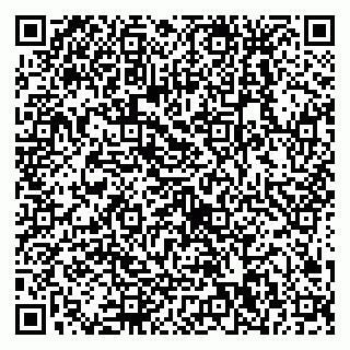 vCard 79538230813