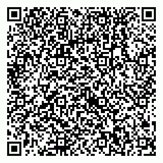 vCard 79538230831