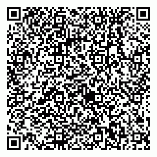 vCard 79538230849