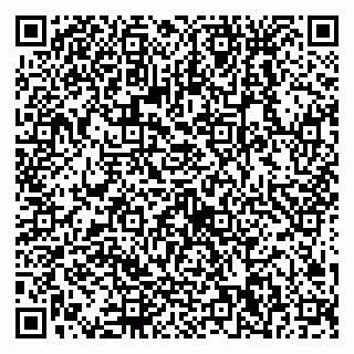 vCard 79538230851