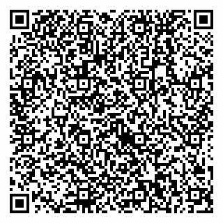 vCard 79538230863
