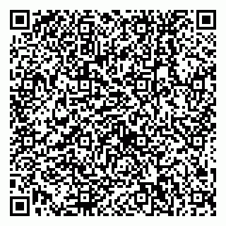 vCard 79538230865