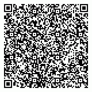 vCard 79538230866