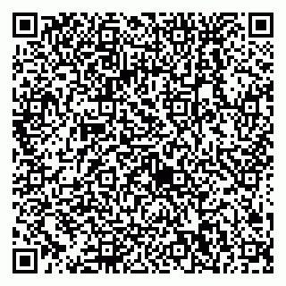 vCard 79538230873