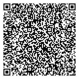 vCard 79538230874