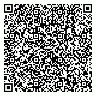 vCard 79538230878
