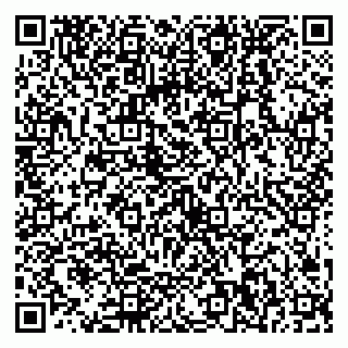 vCard 79538230881
