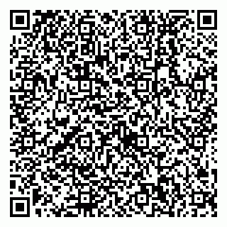 vCard 79538230884