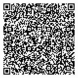 vCard 79538230894