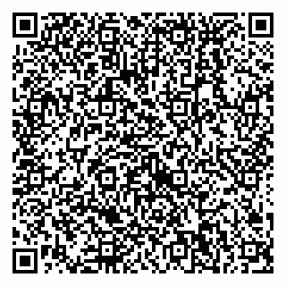 vCard 79538230895