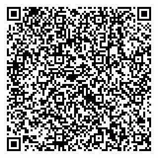 vCard 79538230898