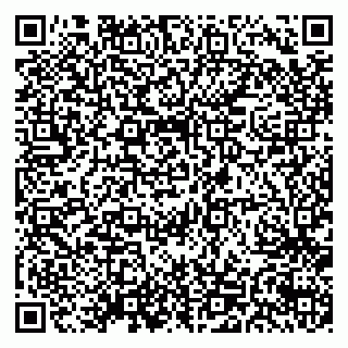 vCard 79538230899