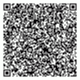 vCard 79538230903