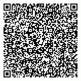 vCard 79538230904