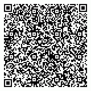 vCard 79538230906