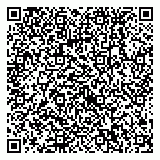 vCard 79538230907