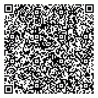 vCard 79538230913