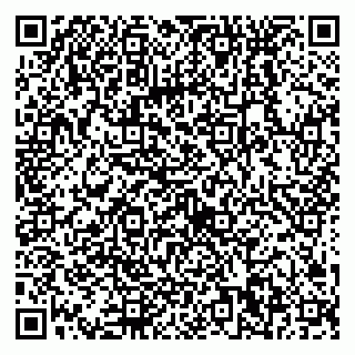 vCard 79538230929