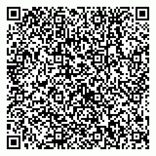 vCard 79538230931