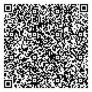 vCard 79538230940
