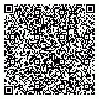 vCard 79538230941