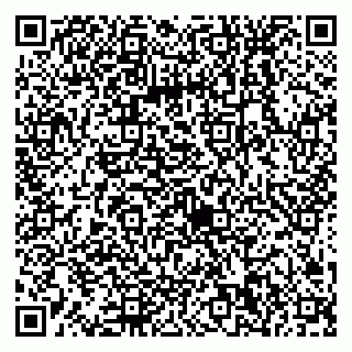vCard 79538230944