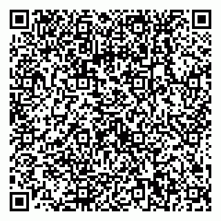 vCard 79538230949