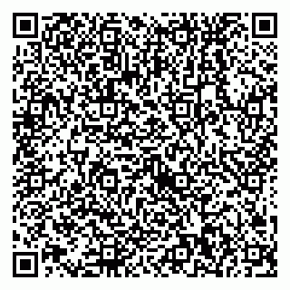 vCard 79538230962