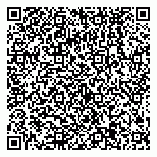 vCard 79538285147