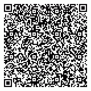 vCard 79538285149