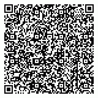 vCard 79538285302