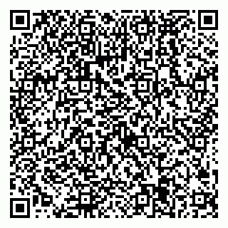 vCard 79538285395